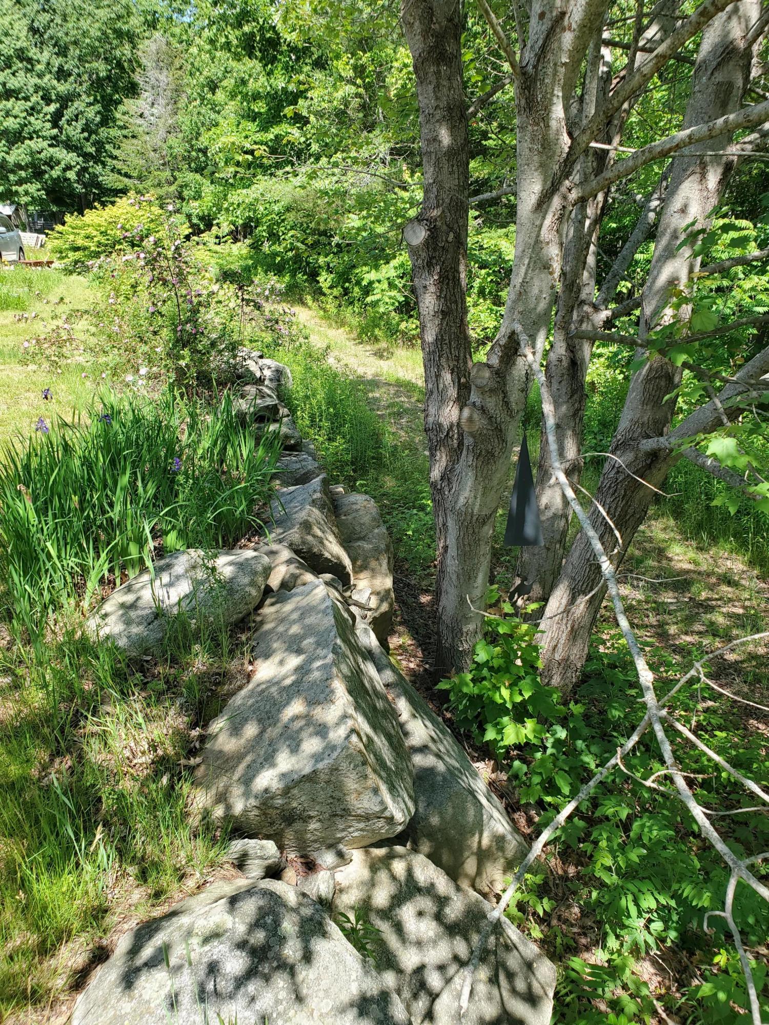 593 Bishop Hill Road Leeds, ME 04263 - Photo 7 of 62 20210617_145858