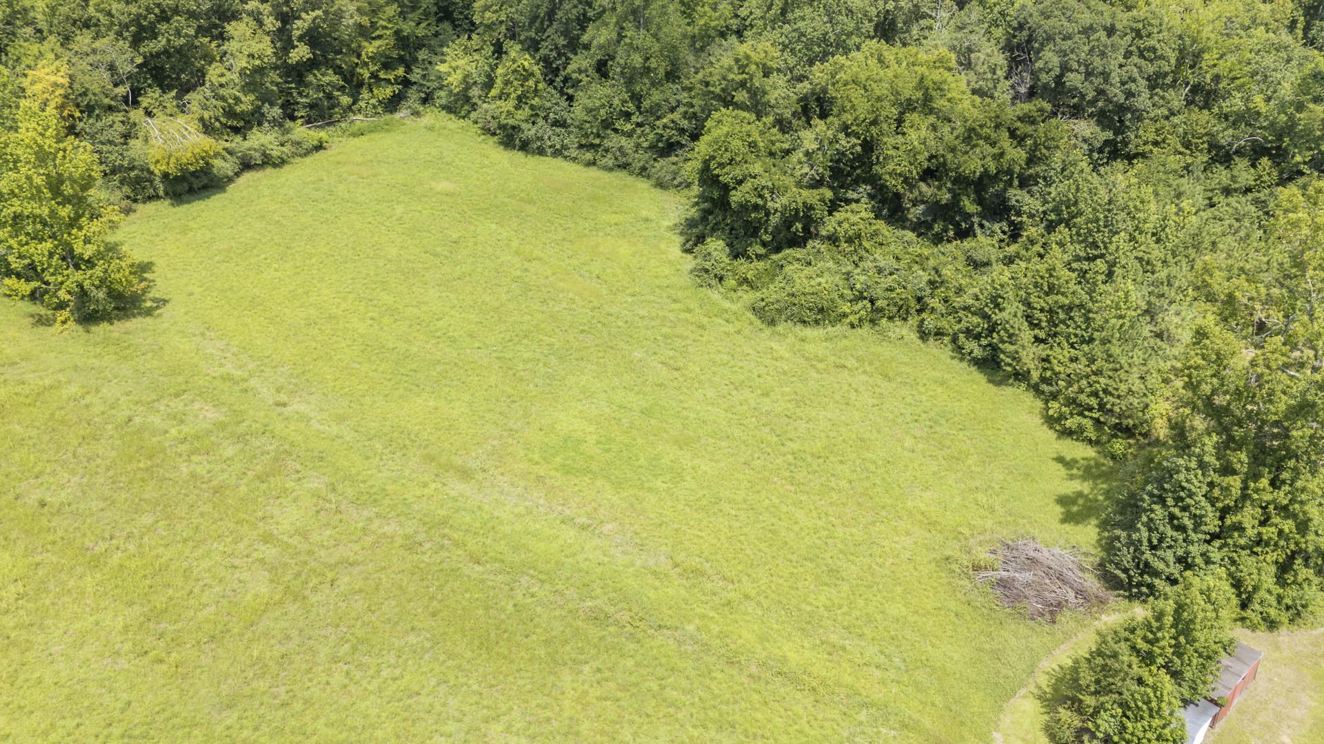 859 Old Morris Chapel Road Adamsville, TN 38310 - Photo 7 of 39 Expansive green field surrounded by mature deciduous trees