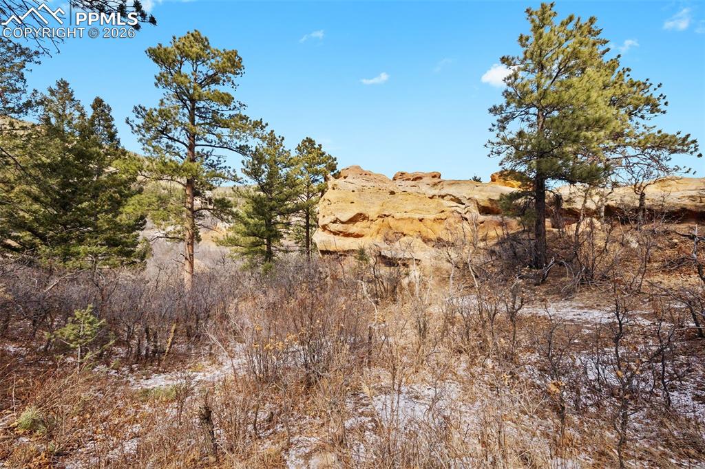 4549 Redstone Ridge Road Monument, CO 80132 - Photo 12 of 50 a view of a yard of a house