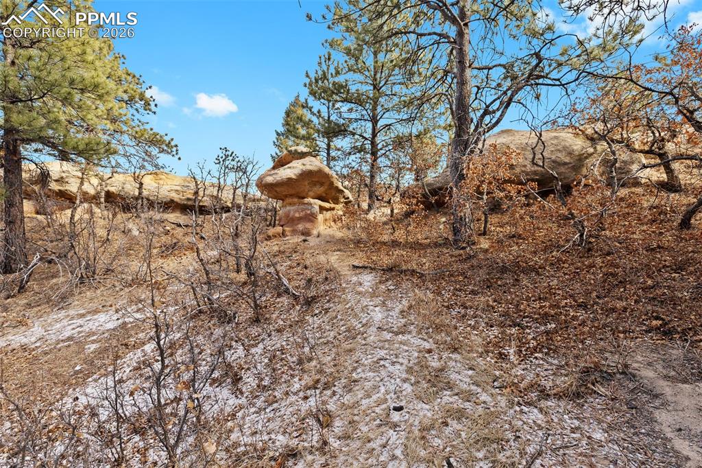 4549 Redstone Ridge Road Monument, CO 80132 - Photo 13 of 50 a view of a backyard of the house