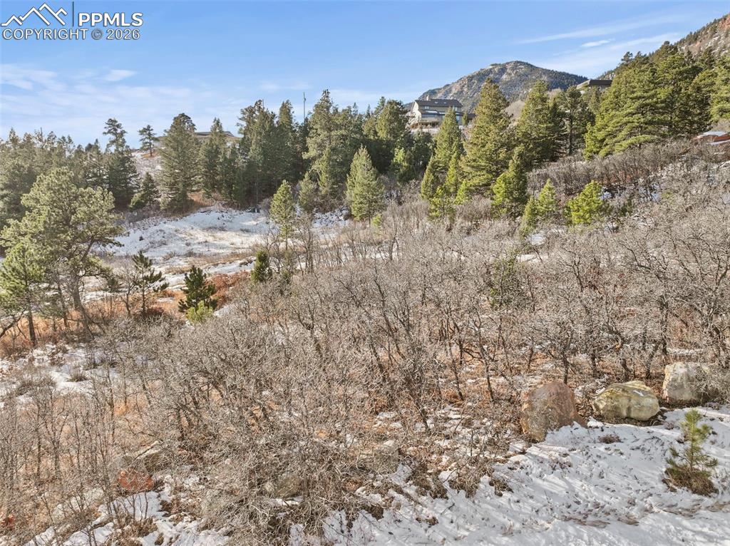 4549 Redstone Ridge Road Monument, CO 80132 - Photo 18 of 50 a view of a forest with mountains in the background