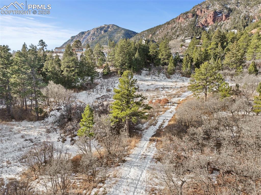 4549 Redstone Ridge Road Monument, CO 80132 - Photo 19 of 50 a view of a yard with a tree