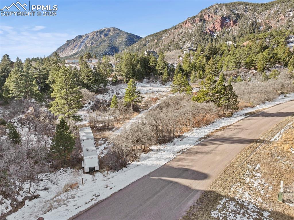 4549 Redstone Ridge Road Monument, CO 80132 - Photo 20 of 50 a view of a dry yard with trees