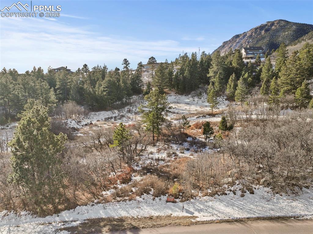 4549 Redstone Ridge Road Monument, CO 80132 - Photo 22 of 50 a view of a covered with green space