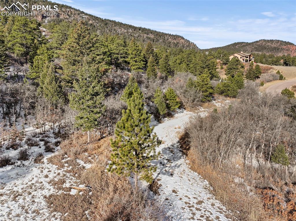 4549 Redstone Ridge Road Monument, CO 80132 - Photo 25 of 50 a view of a mountain with a forest