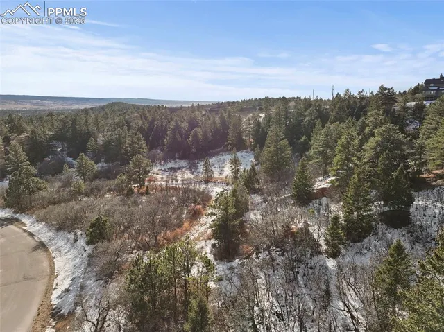 a view of a dry yard with trees