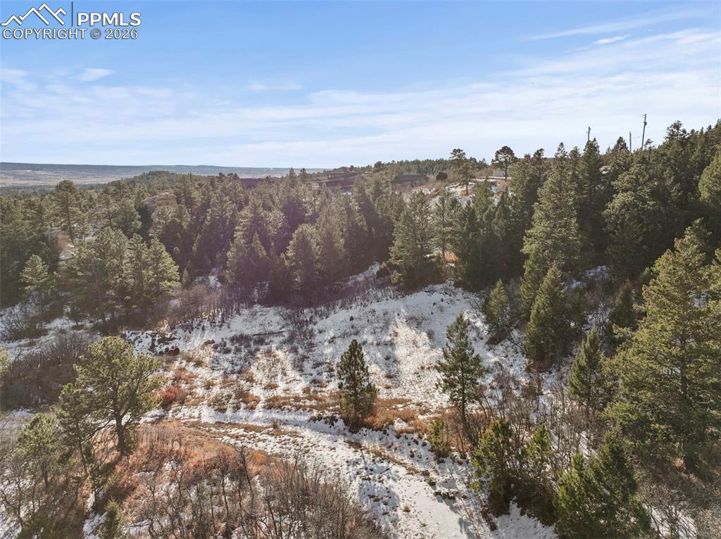 4549 Redstone Ridge Road Monument, CO 80132 - Photo 45 of 50 a view of mountain view with lots of trees