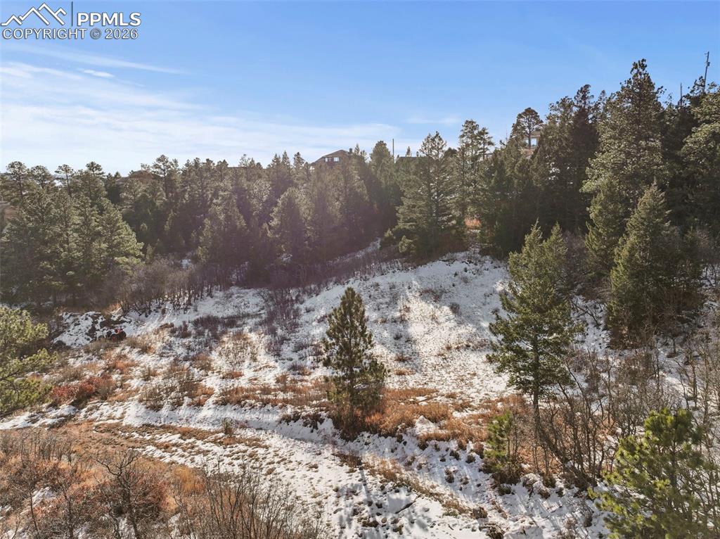 4549 Redstone Ridge Road Monument, CO 80132 - Photo 46 of 50 a view of a dry yard with trees