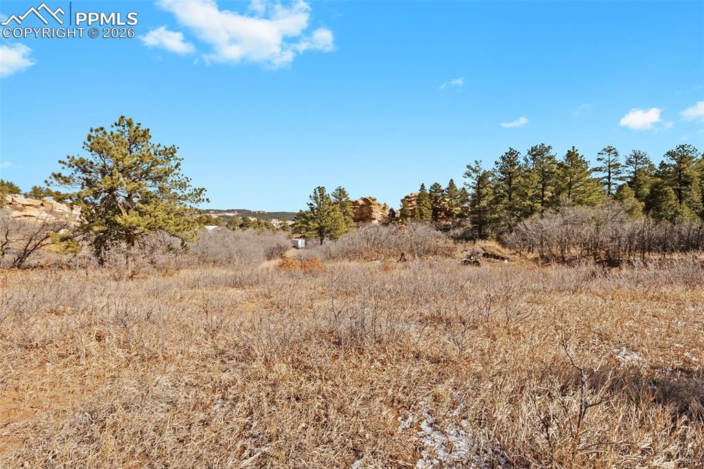 4549 Redstone Ridge Road Monument, CO 80132 - Photo 49 of 50 a view of a dry yard with lots of bushes