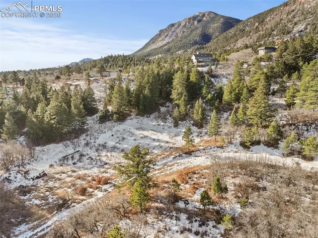 a view of a forest with mountains in the background