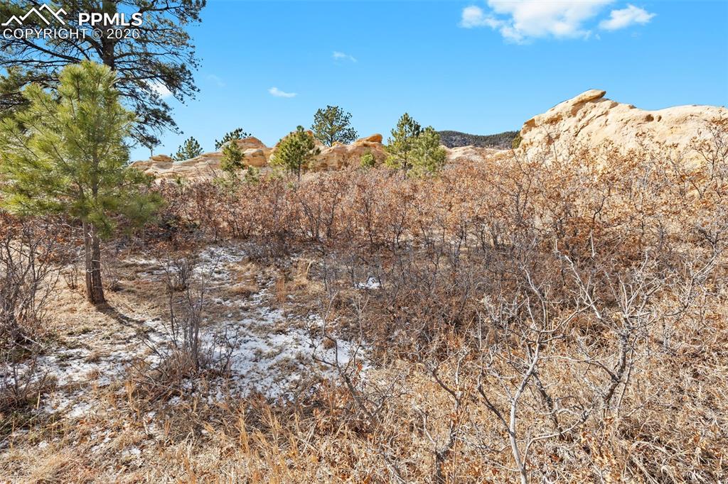 4549 Redstone Ridge Road Monument, CO 80132 - Photo 6 of 50 a view of a dry yard with green space