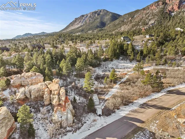 a view of a forest with mountains in the background