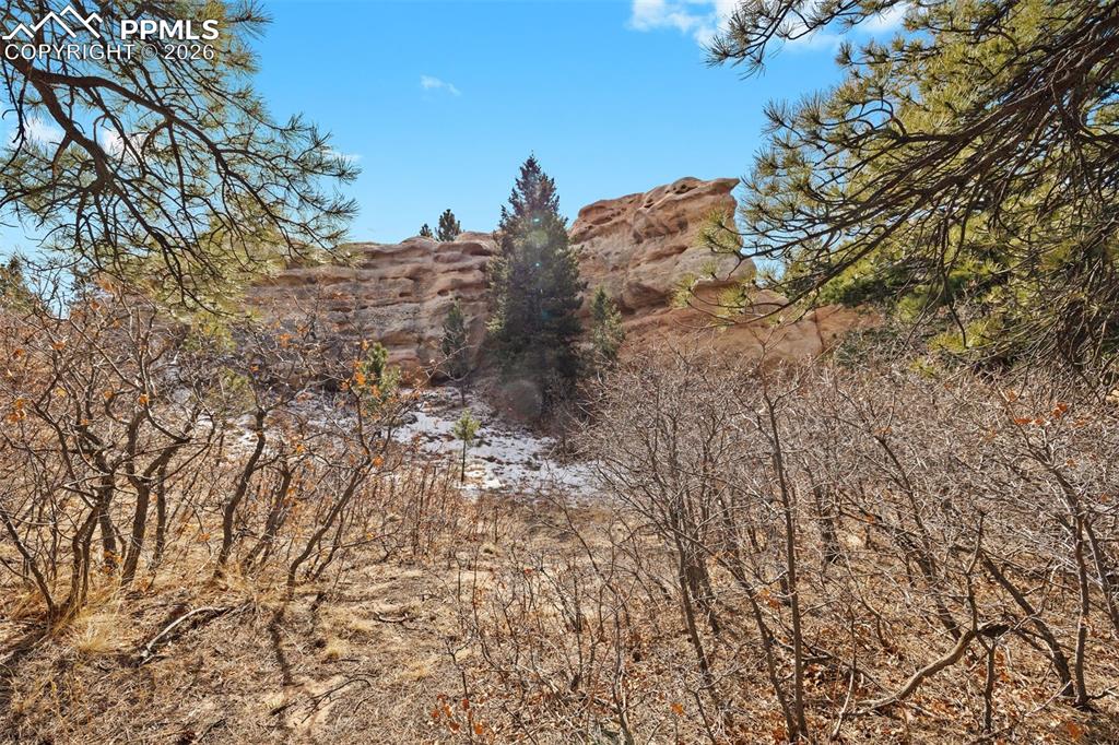 4549 Redstone Ridge Road Monument, CO 80132 - Photo 7 of 50 a view of a dry yard with lots of bushes