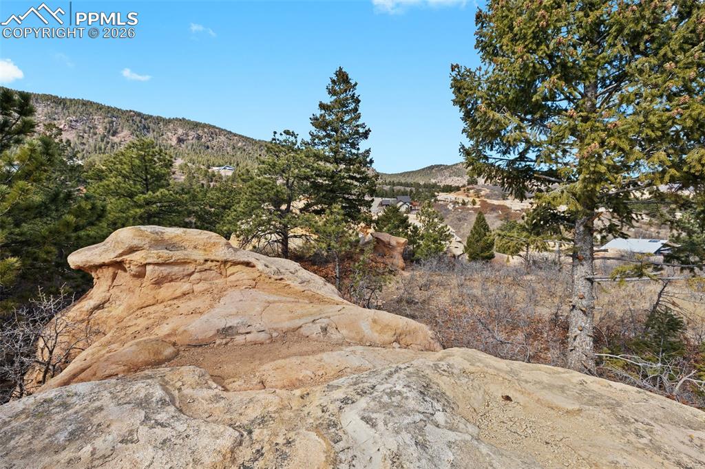 4549 Redstone Ridge Road Monument, CO 80132 - Photo 8 of 50 a view of a yard in front of a house