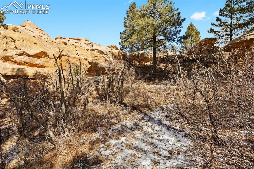 4549 Redstone Ridge Road Monument, CO 80132 - Photo 9 of 50 a view of a backyard of the house