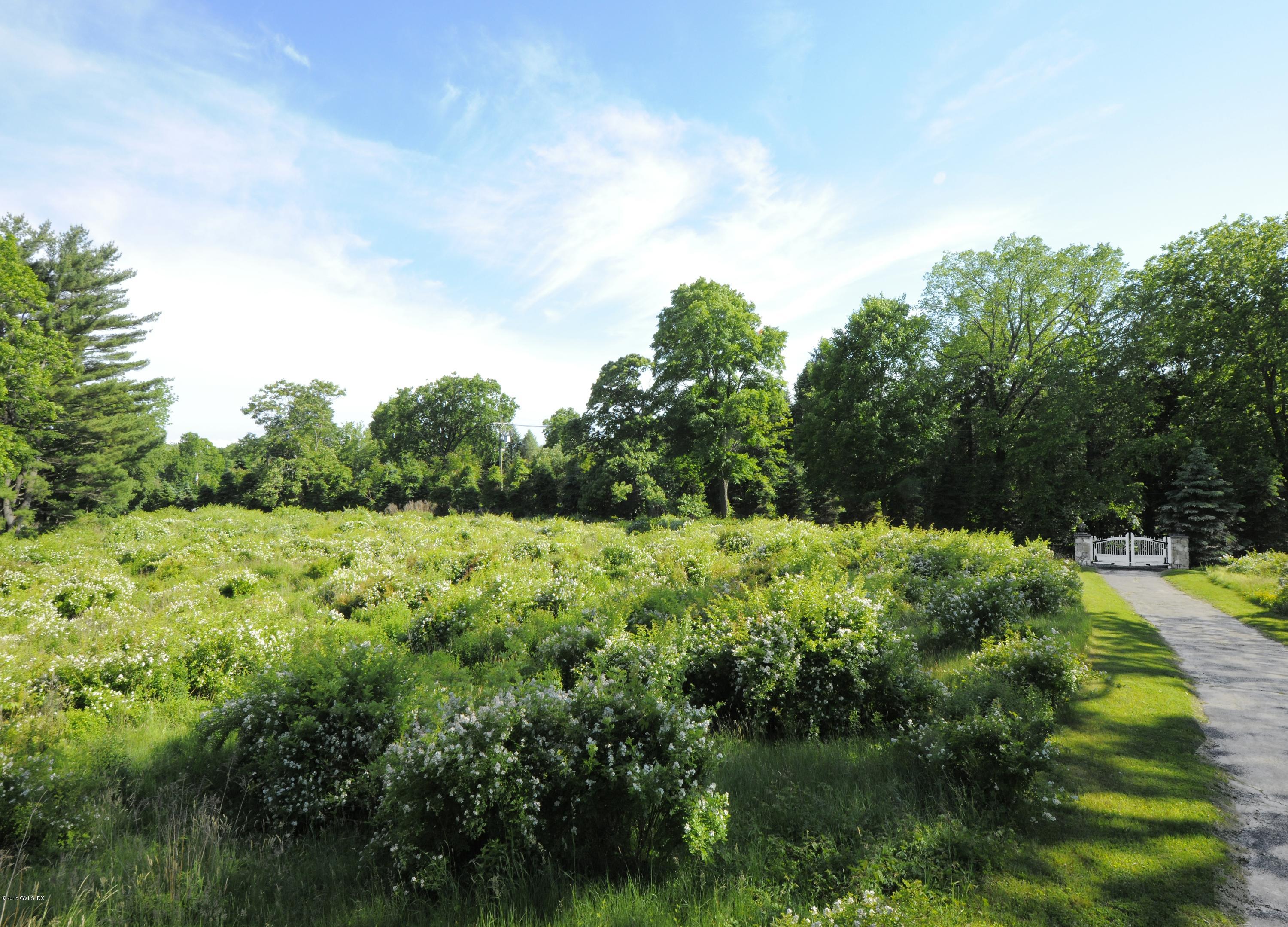 23 Cliffdale Road Greenwich, CT 06831 - Photo 11 of 24 a view of a garden with plants and large trees