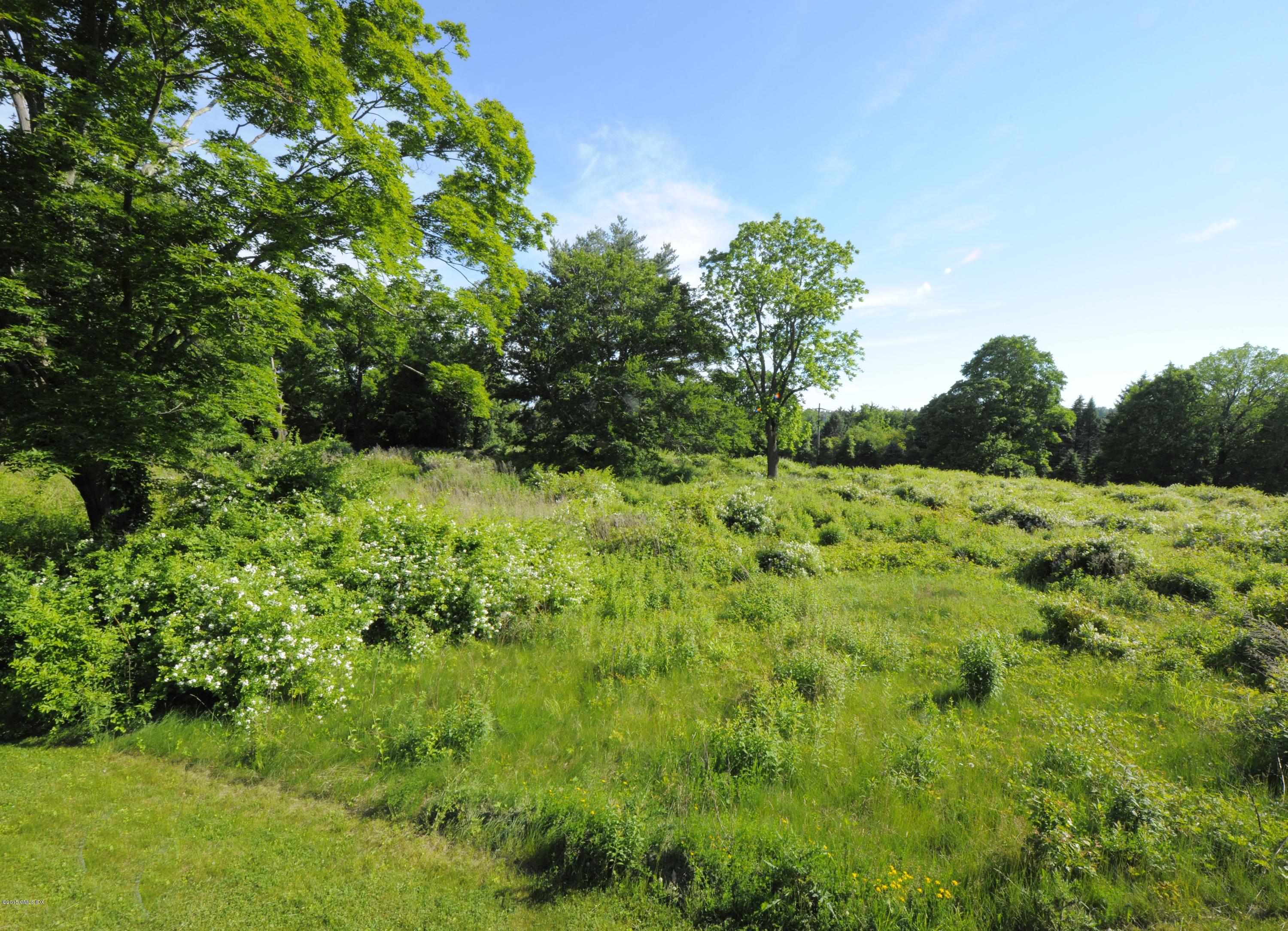 23 Cliffdale Road Greenwich, CT 06831 - Photo 13 of 24 a view of a lush green space