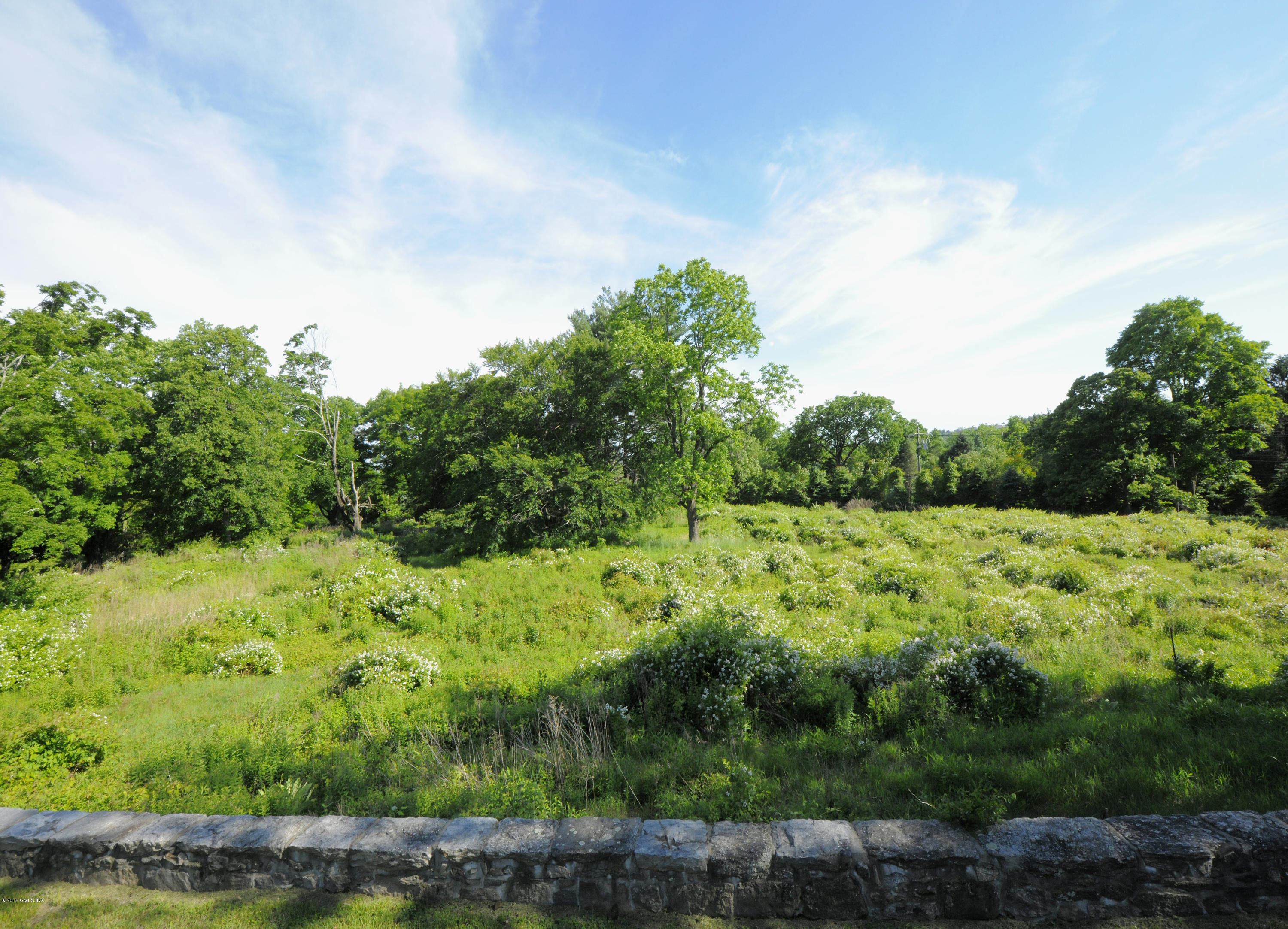 23 Cliffdale Road Greenwich, CT 06831 - Photo 15 of 24 a view of a lush green forest with lots of trees