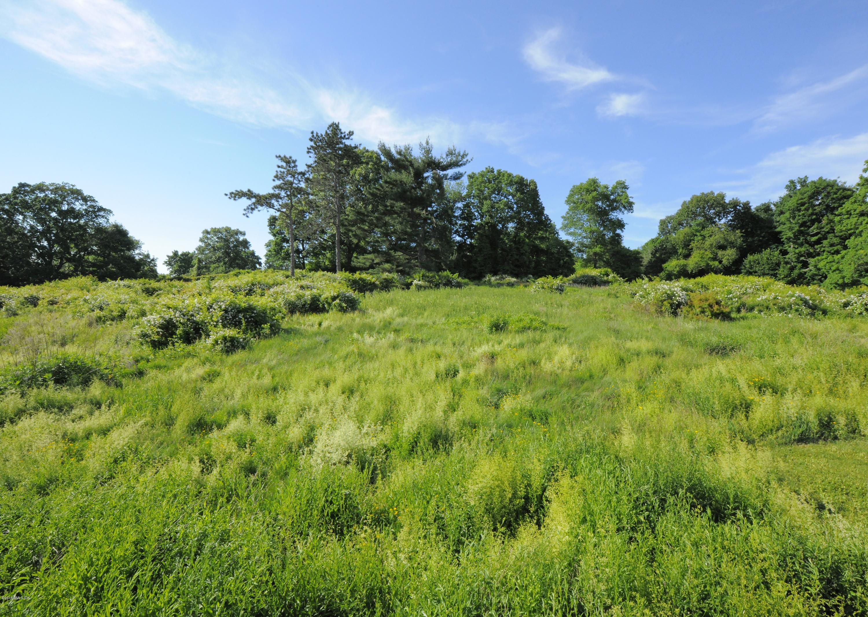 23 Cliffdale Road Greenwich, CT 06831 - Photo 6 of 24 a view of a garden
