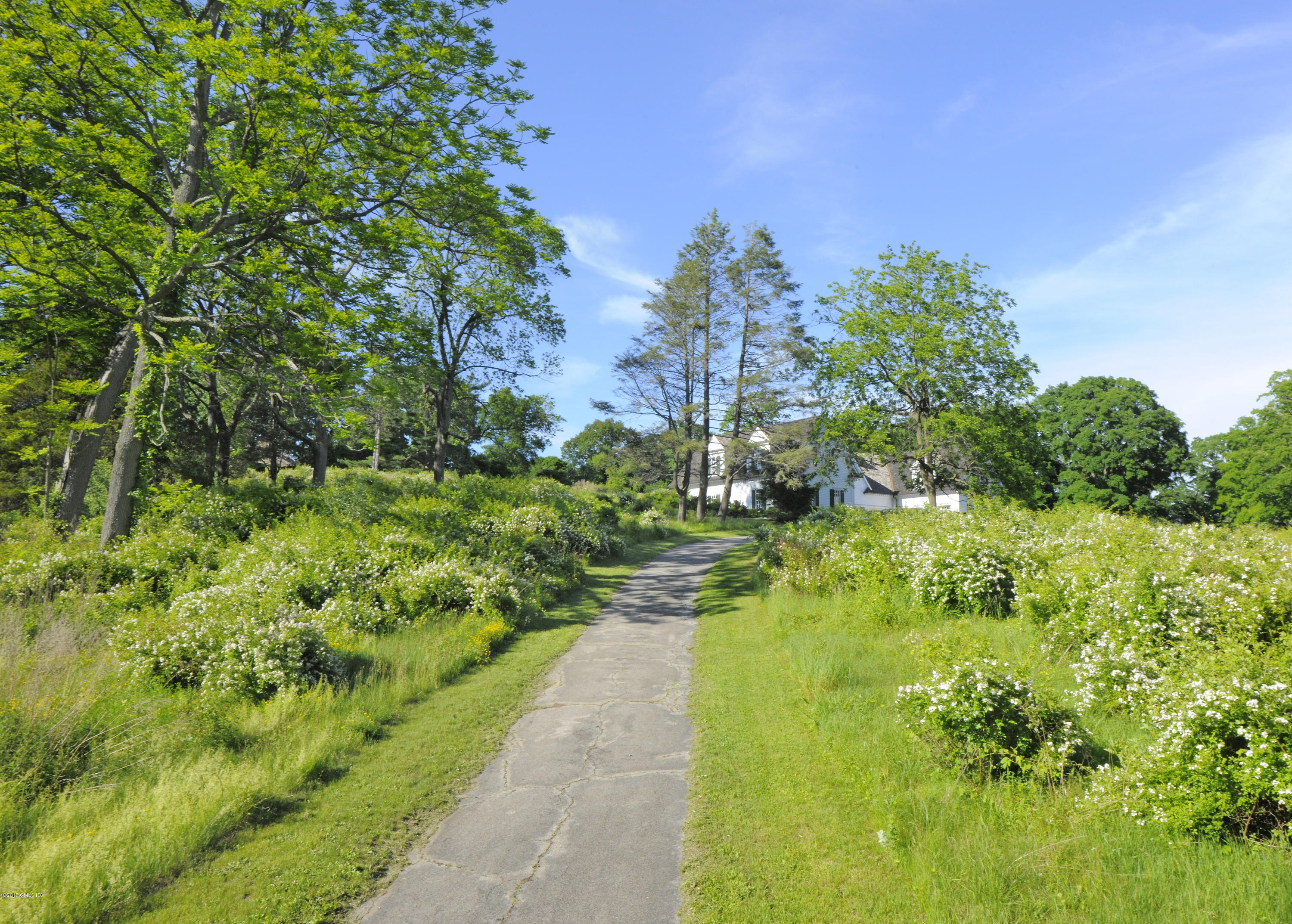 23 Cliffdale Road Greenwich, CT 06831 - Photo 7 of 24 a view of yard with green space