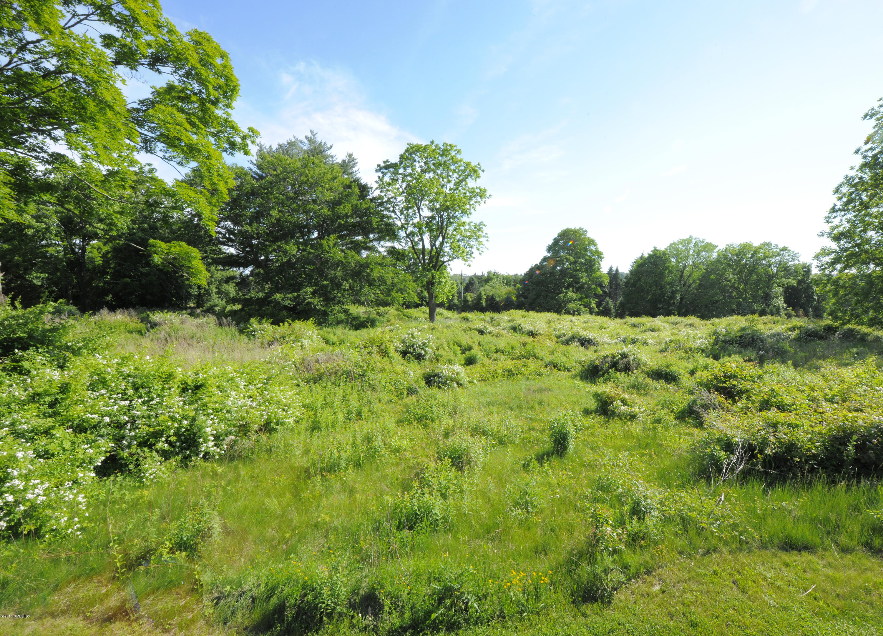 23 Cliffdale Road Greenwich, CT 06831 - Photo 10 of 24 a view of a lush green space