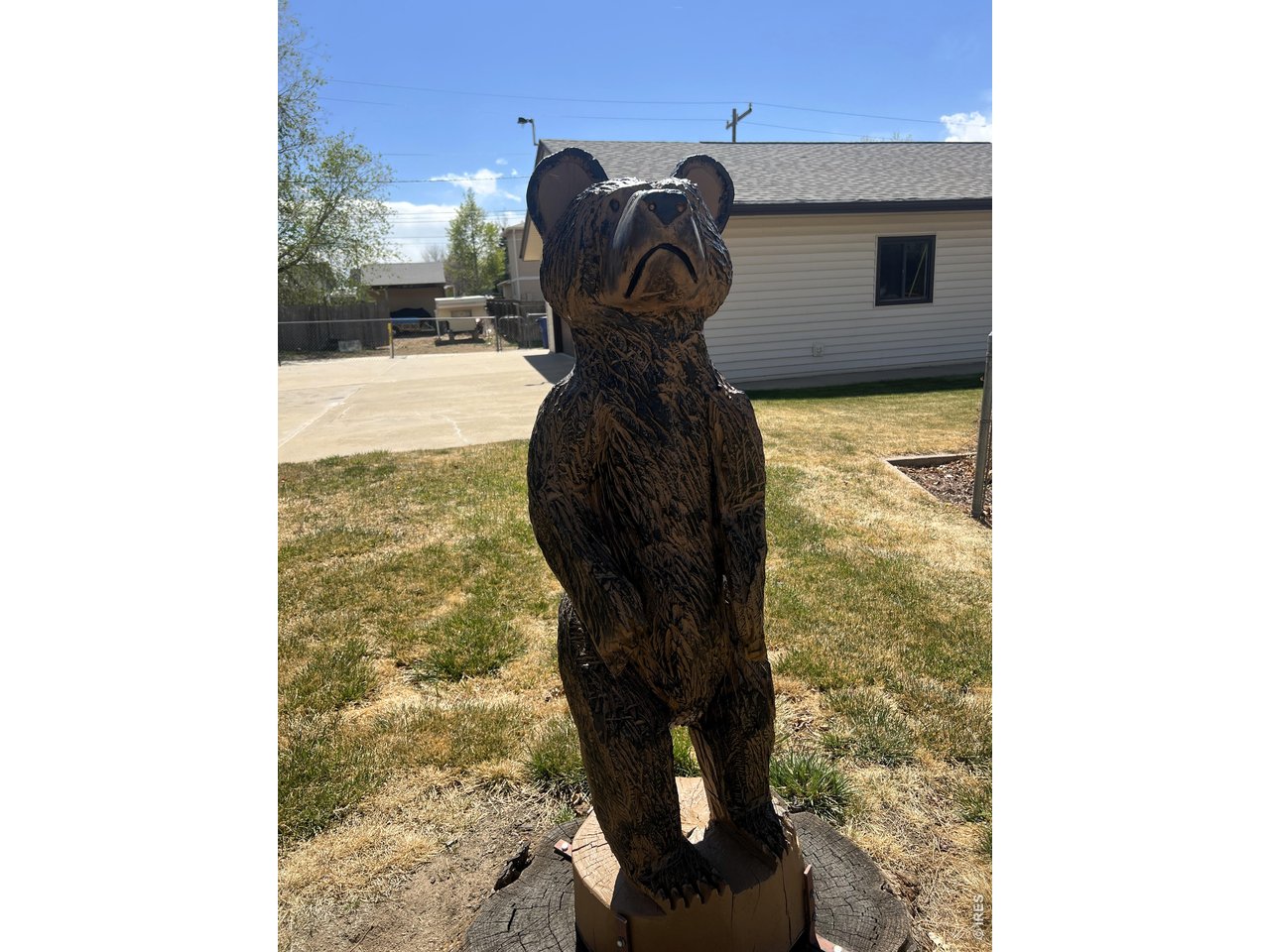 105 Maple Street Frederick, CO 80530 - Photo 29 of 29 This little fellow stays with the property!
