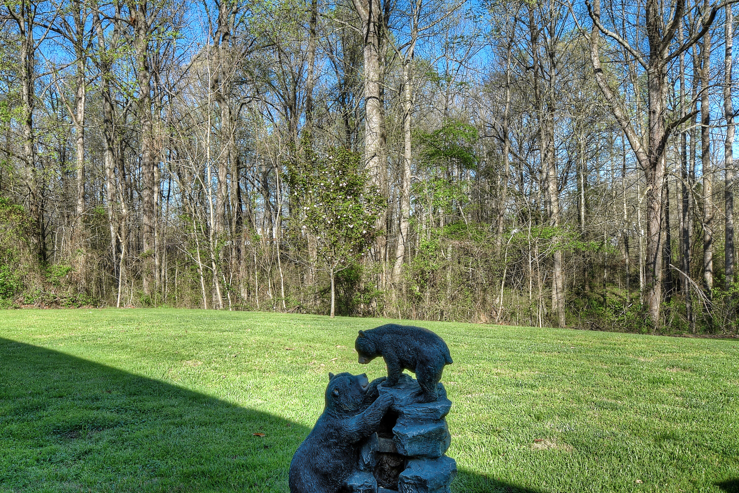 641 Bowmantown Road Telford, TN 37690 - Photo 56 of 56 DSC_0925_26_27_28_29_30