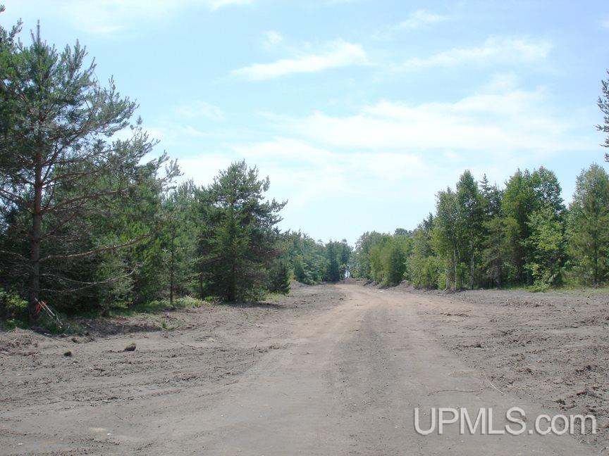 Tbd Northshore Bluffs Road, Unit 3 Manistique, MI 49854 - Photo 7 of 22