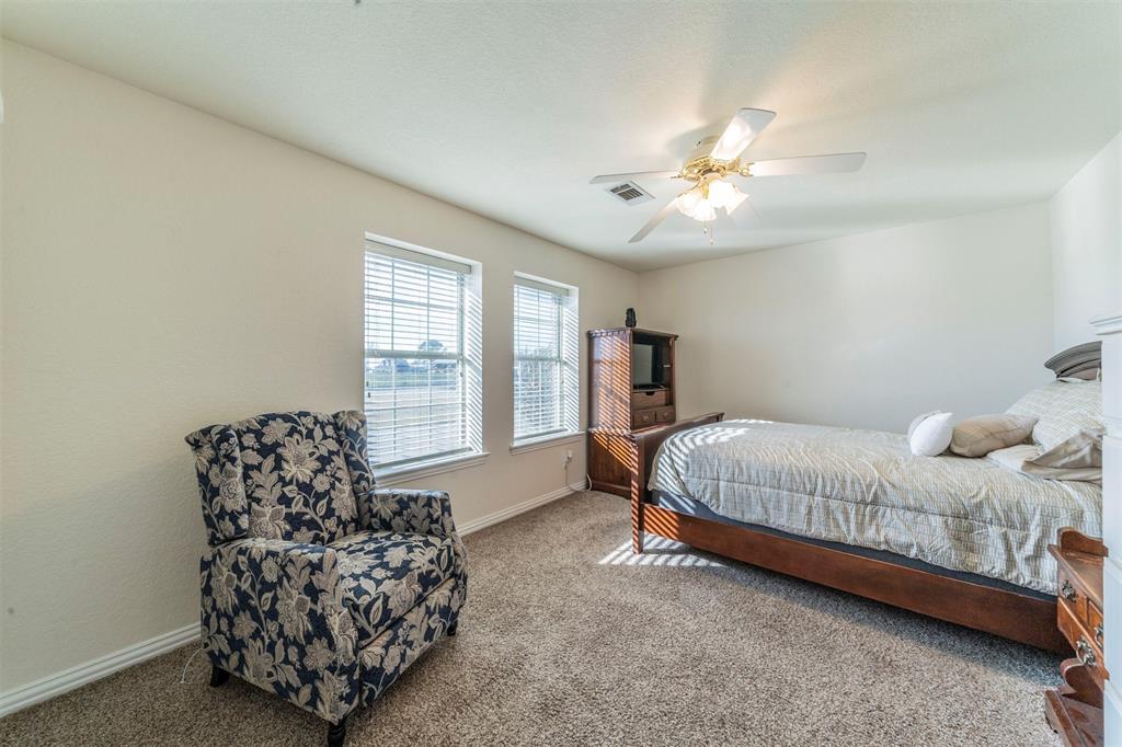 20175 Willow Glade Circle Pilot Point, TX 76258 - Photo 20 of 32 Bedroom featuring carpet and ceiling fan