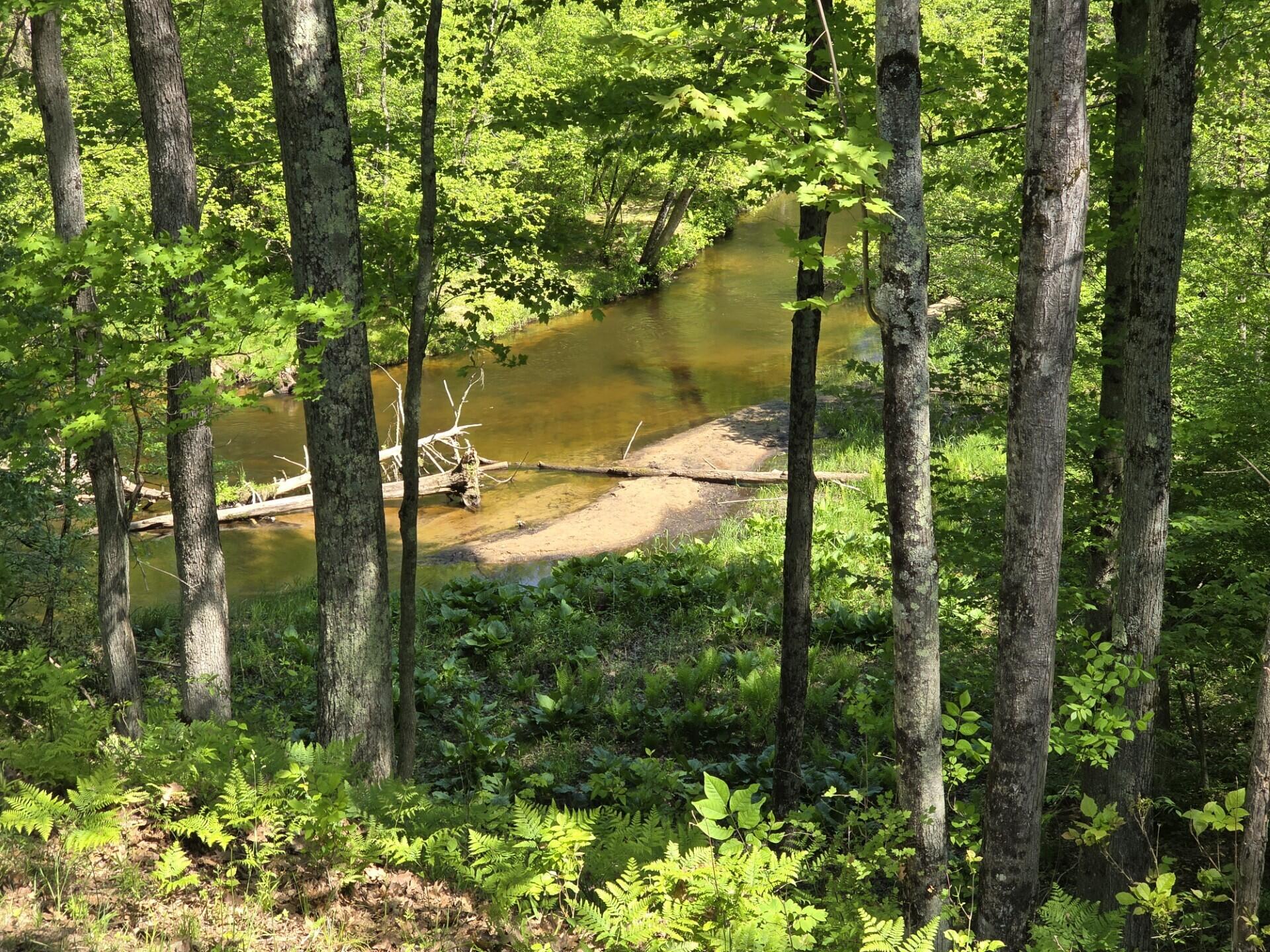 6360 West 8 Mile Road Irons, MI 49644 - Photo 18 of 25 Little Manistee River View
