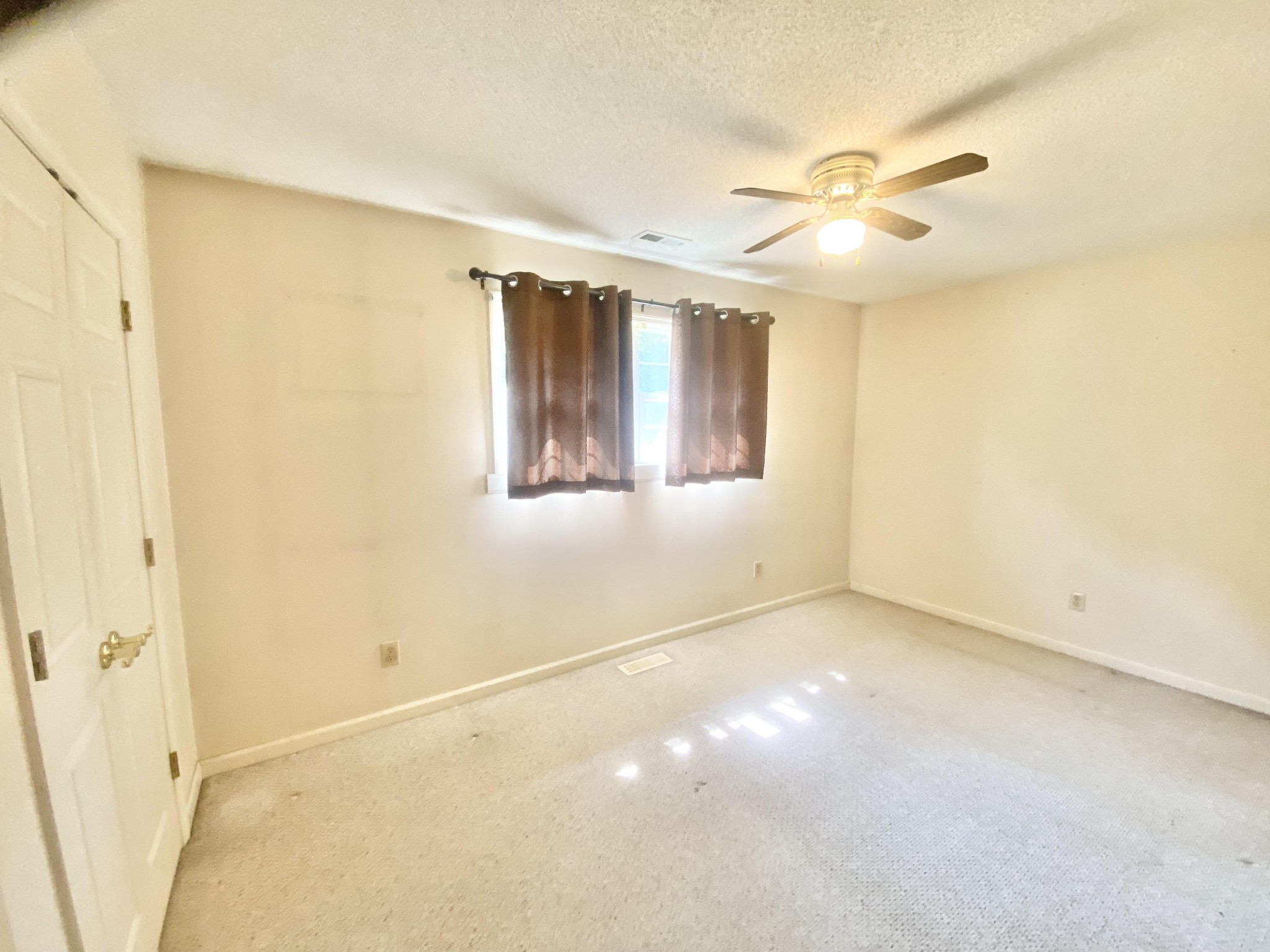 177 Newton Road Leoma, TN 38468 - Photo 7 of 13