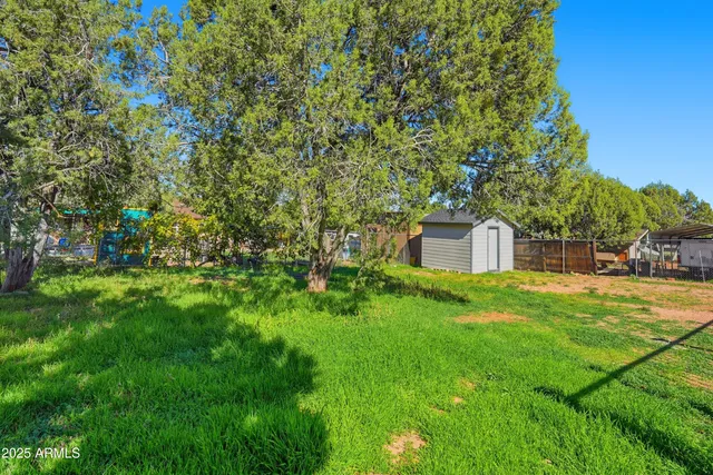 a view of a back yard