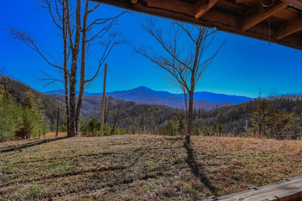 768 Messer Branch Road Hartford, TN 37753 - Photo 22 of 36 Gallery Image 22