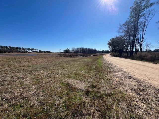 41-ac Cravey Bridge Road Opp, AL 36467 - Photo 46 of 50 Gallery Image 46
