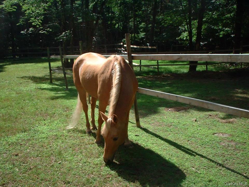 404 John Joy Road Saugerties, NY 12477 - Photo 22 of 50 a view of a garden from a lake
