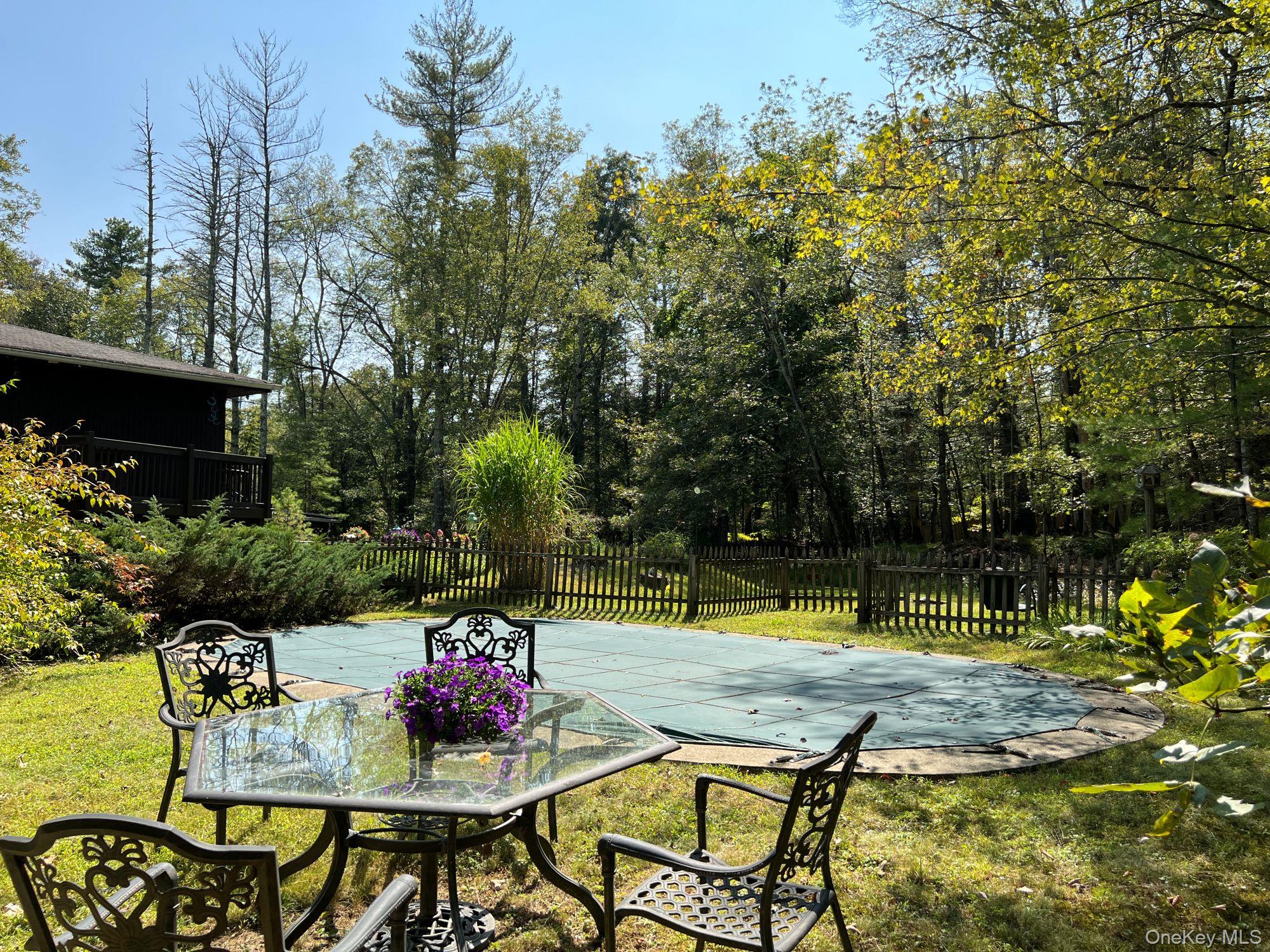 404 John Joy Road Saugerties, NY 12477 - Photo 30 of 50 a view of swimming pool with a table and chairs