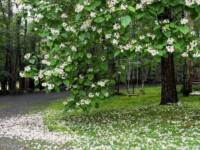 $799,000 | 404 John Joy Road, Saugerties, NY 12477