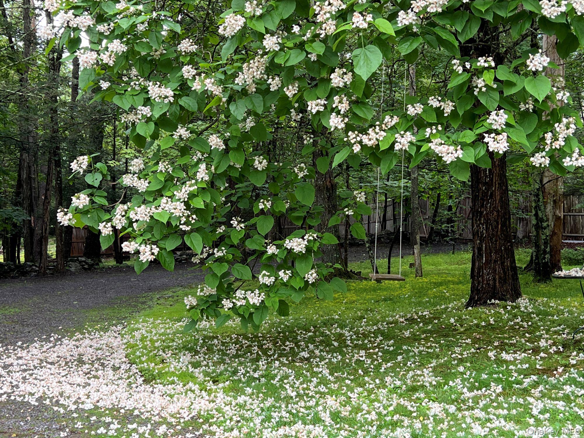 404 John Joy Road Saugerties, NY 12477 - Photo 35 of 50 a backyard of a house with lots of green space