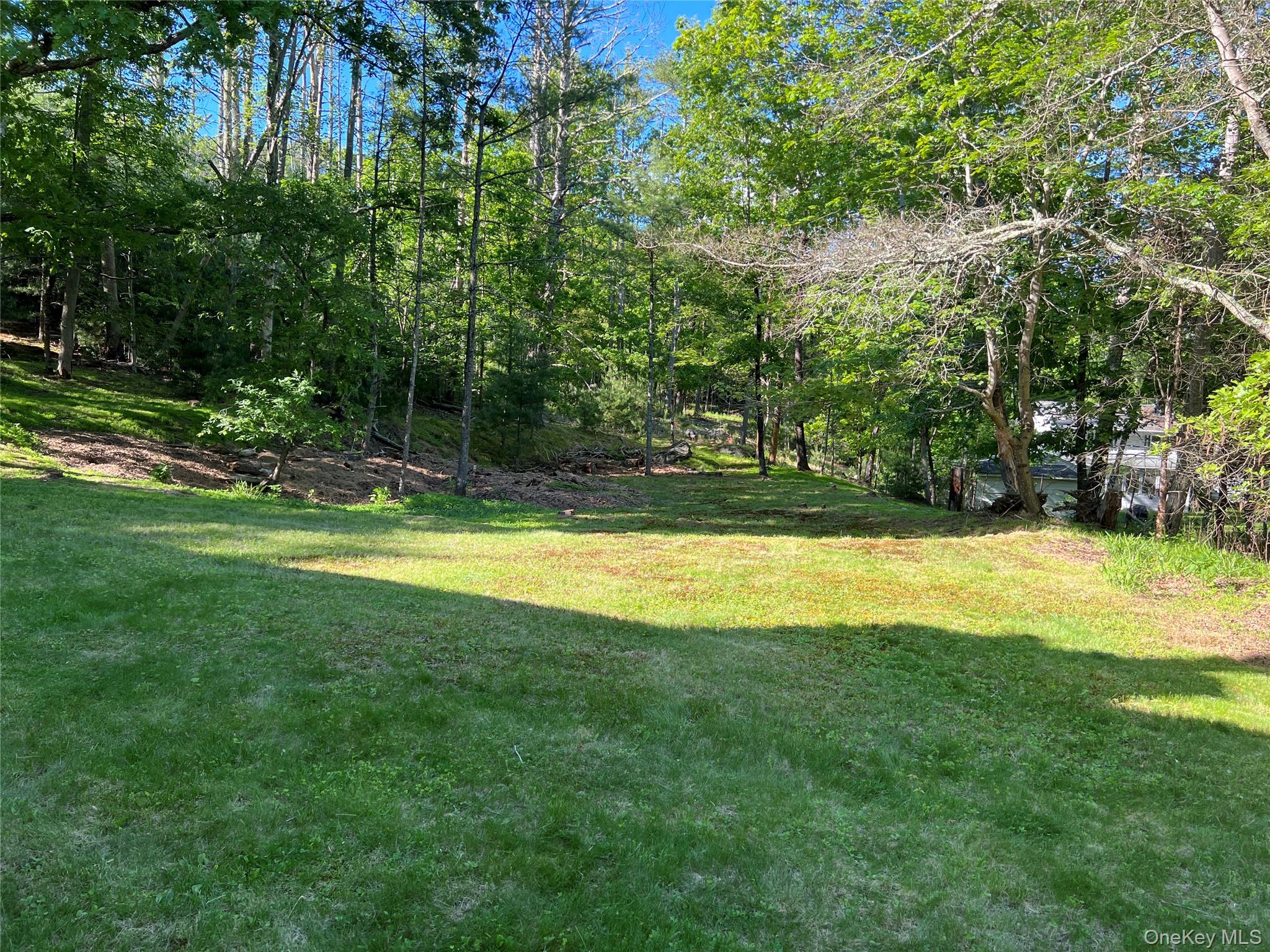 404 John Joy Road Saugerties, NY 12477 - Photo 42 of 50 a view of swimming pool with lawn chairs and large trees