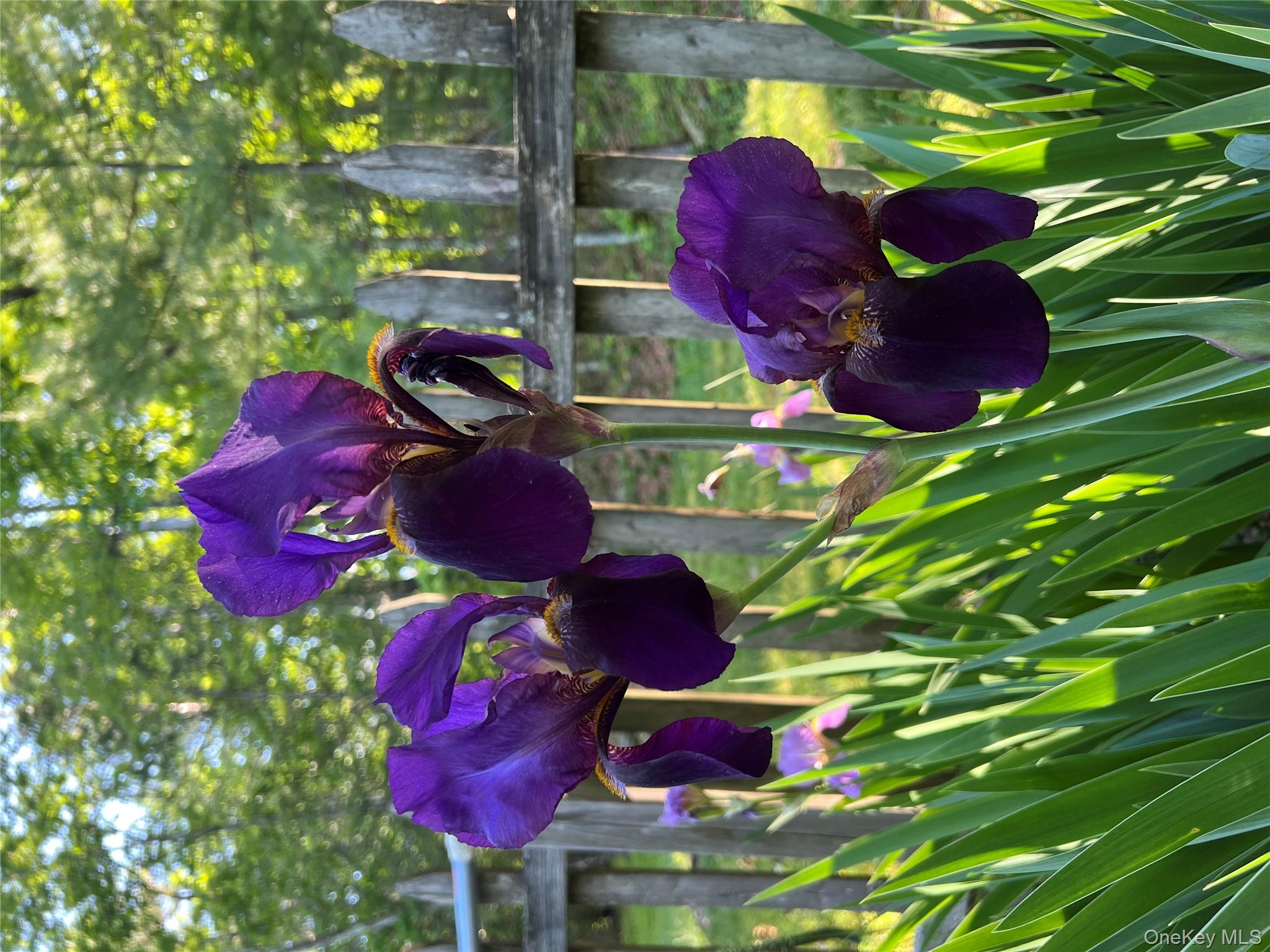 404 John Joy Road Saugerties, NY 12477 - Photo 45 of 50