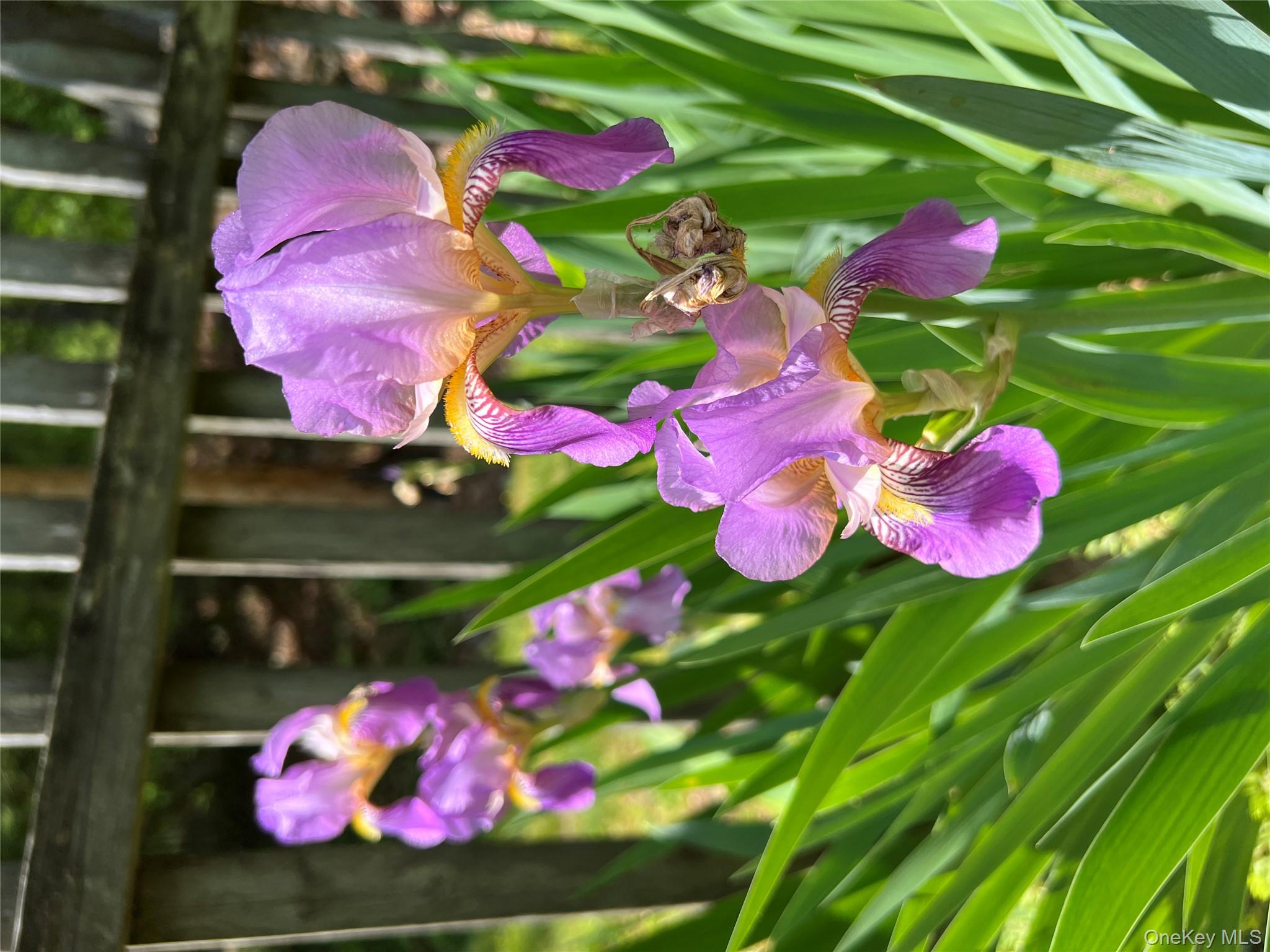 404 John Joy Road Saugerties, NY 12477 - Photo 46 of 50