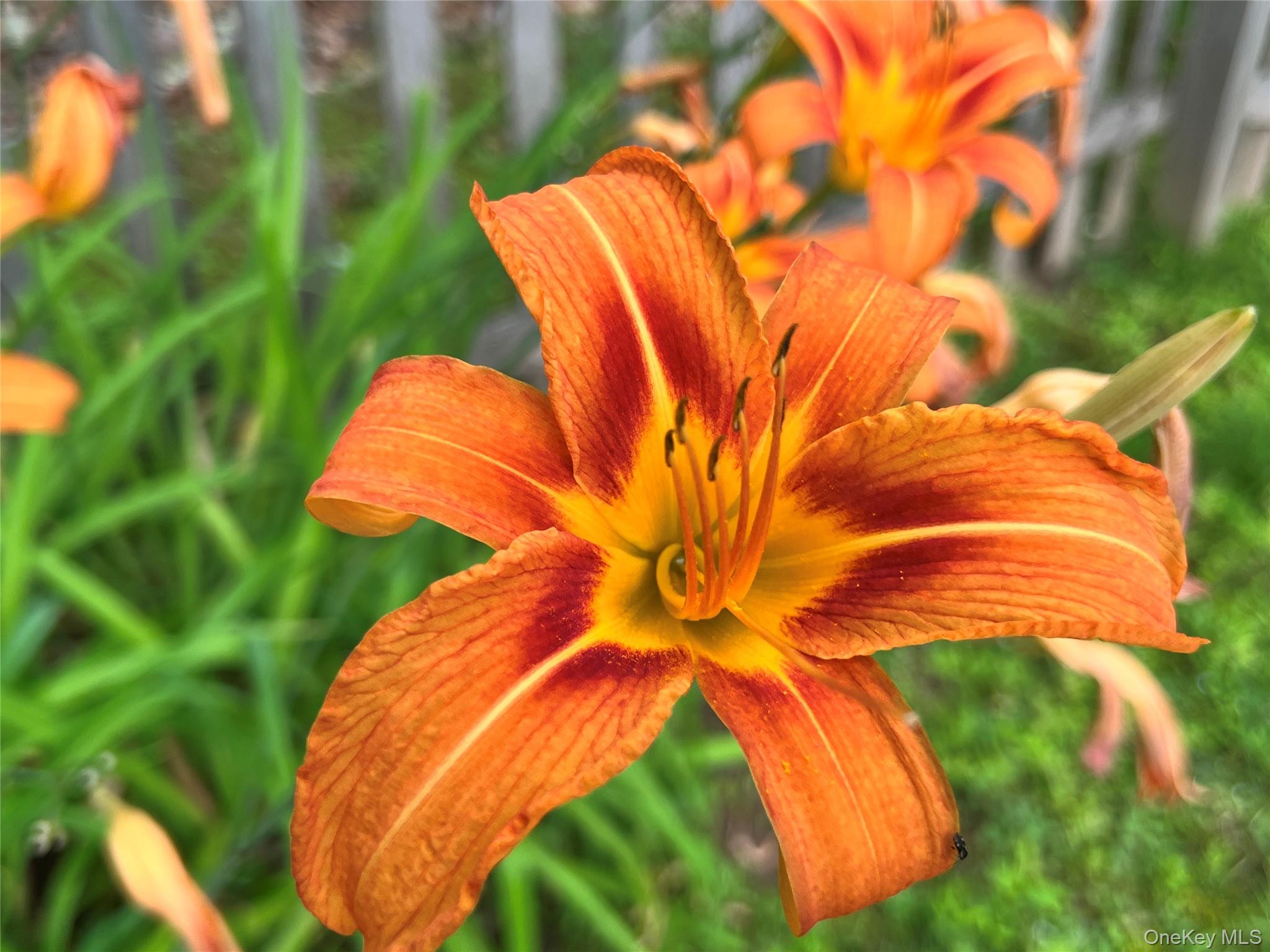 404 John Joy Road Saugerties, NY 12477 - Photo 49 of 50