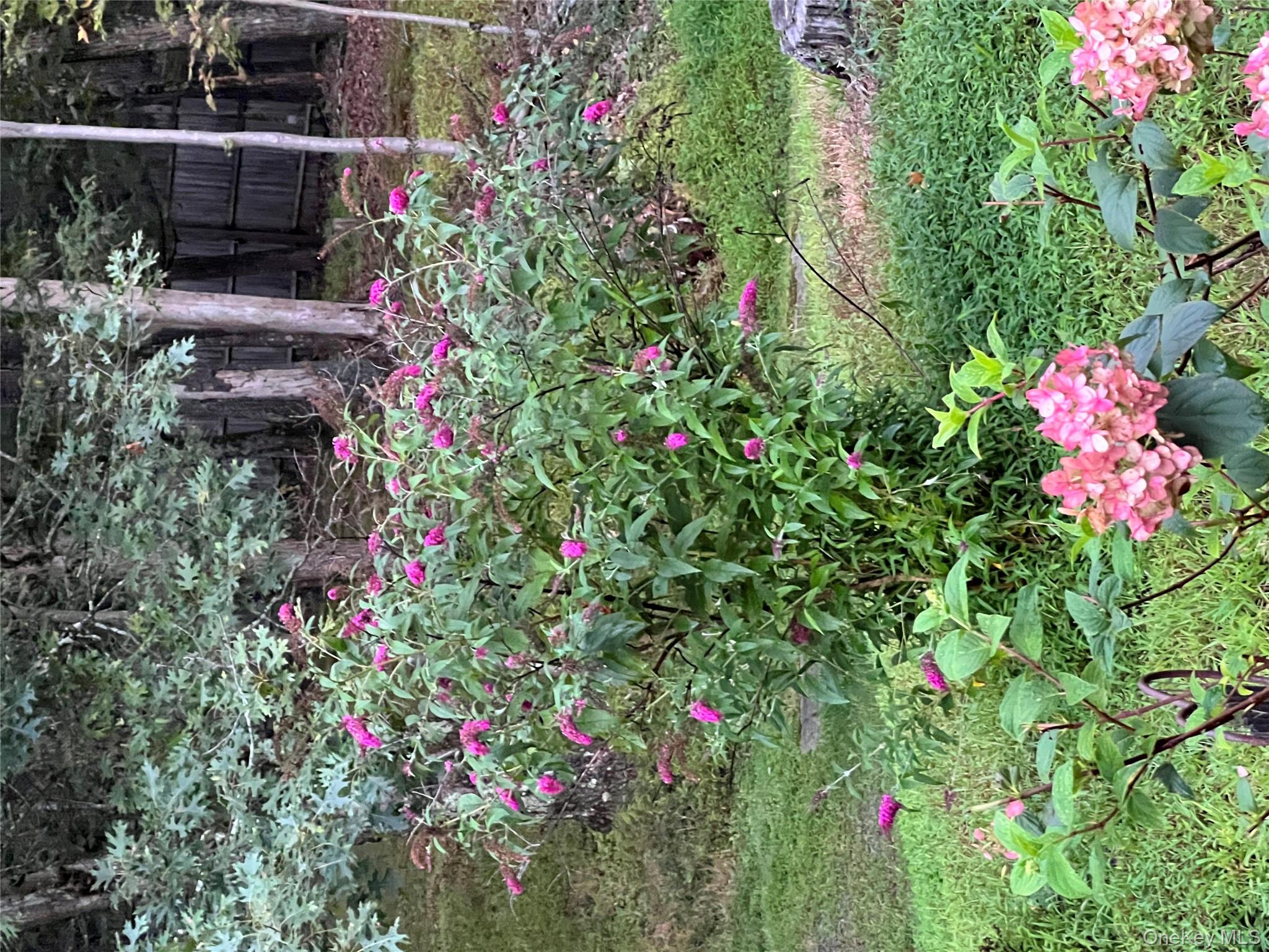 404 John Joy Road Saugerties, NY 12477 - Photo 50 of 50 a small yard with flowers and tree