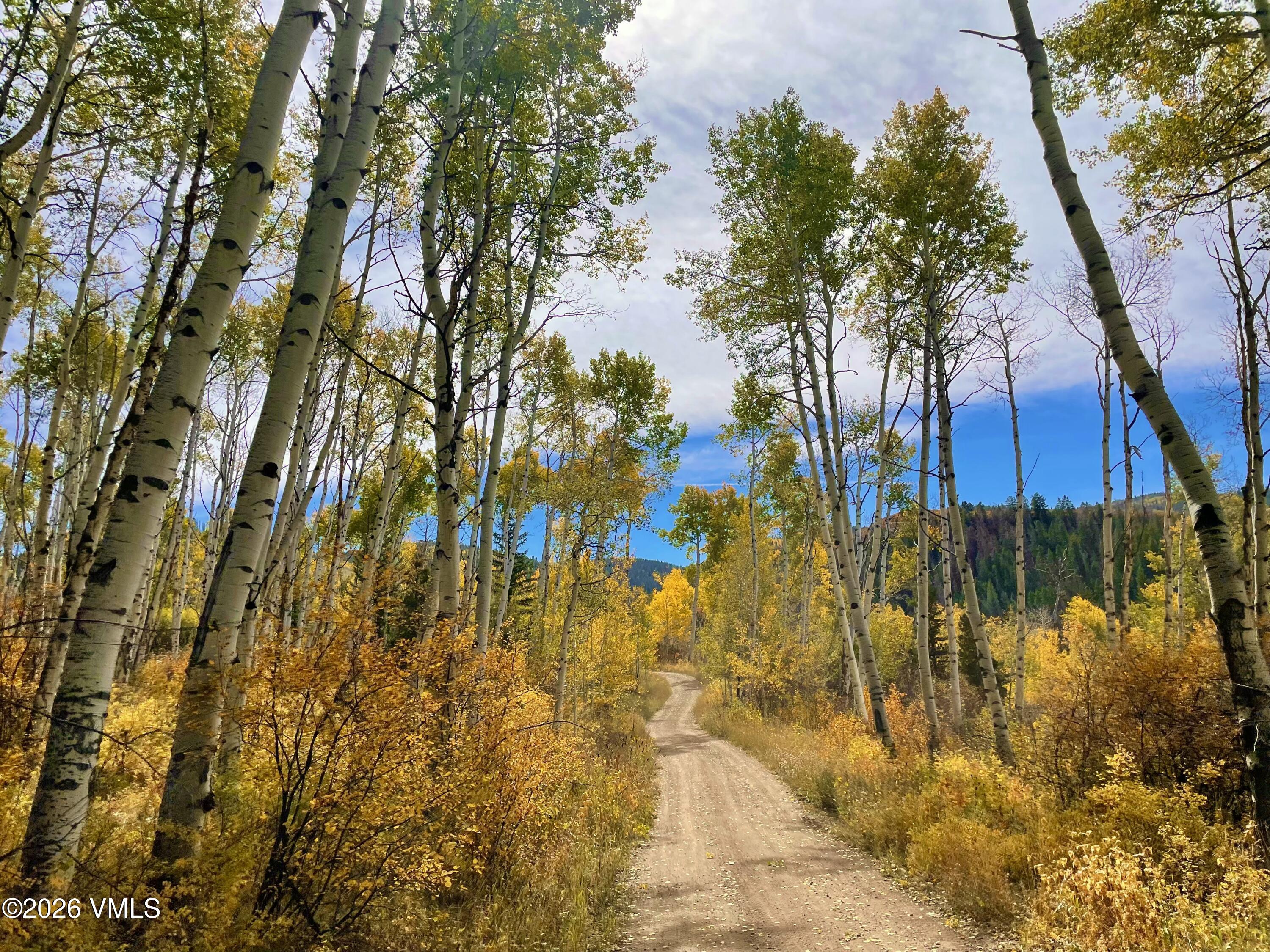 6010 Salt Creek Road Eagle, CO 81631 - Photo 53 of 69 Each Season Savored