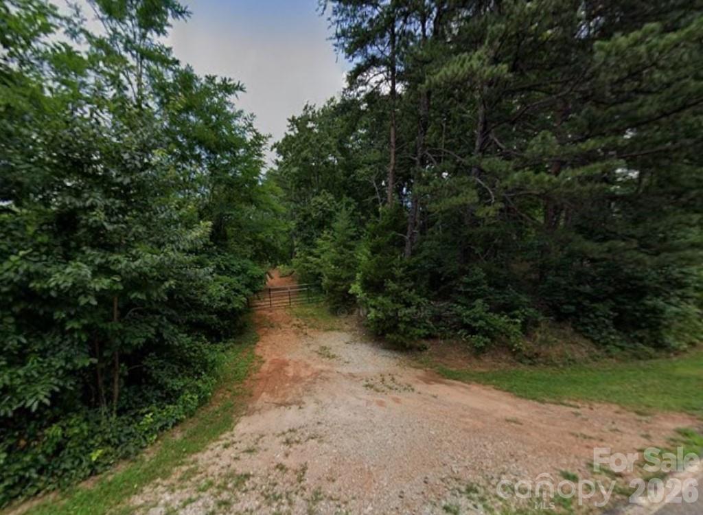 329 Leman Gap Road Casar, NC 28020 - Photo 2 of 3 a view of a forest with trees in the background