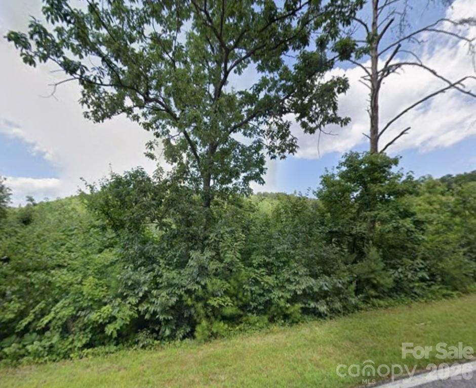 329 Leman Gap Road Casar, NC 28020 - Photo 3 of 3 a view of a bunch of trees