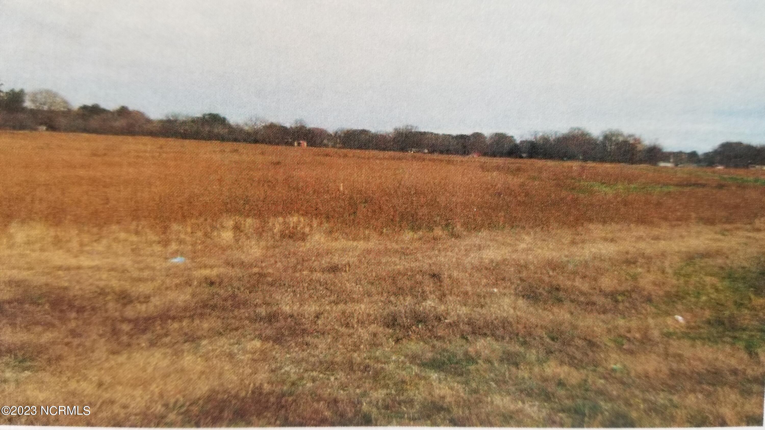 0 Redman Road Rocky Mount, NC 27803 - Photo 1 of 7 open land in rear