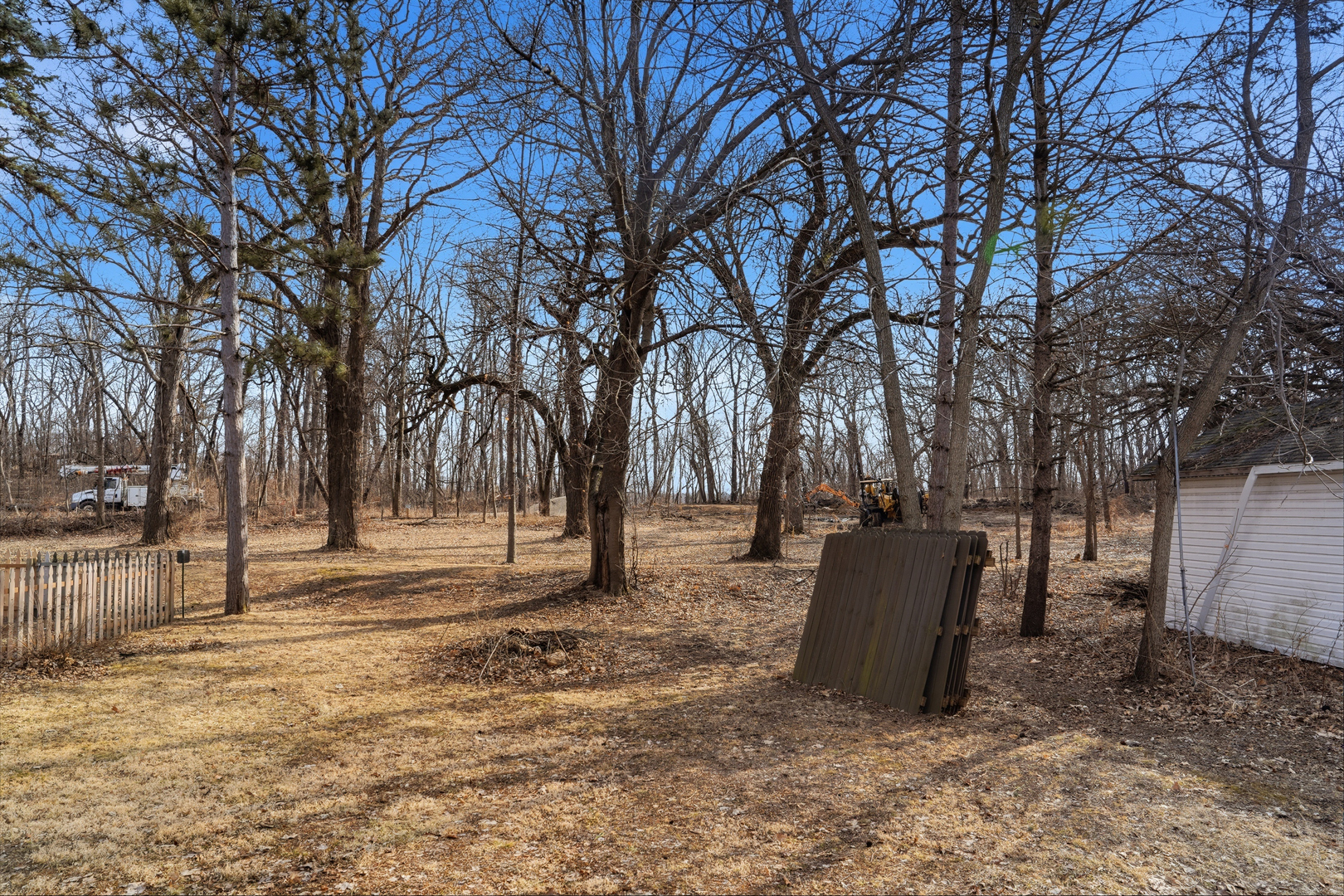 624 Palmyra Street Dixon, IL 61021 - Photo 9 of 29 a view of backyard with tree