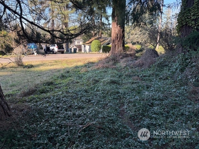 0 Bonanza Way Bellingham, WA 98229 - Photo 11 of 14 a view of a yard with plants and trees