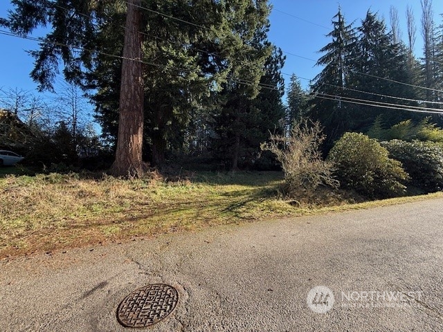 0 Bonanza Way Bellingham, WA 98229 - Photo 14 of 14 a view of backyard with green space